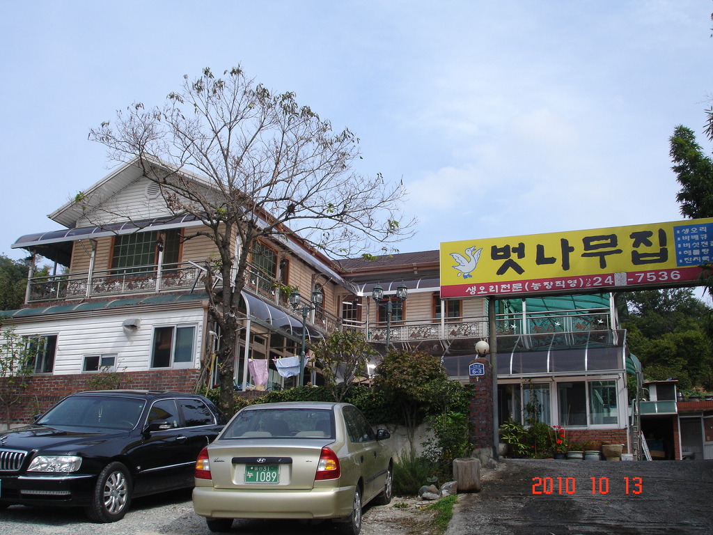 벗나무집 이미지