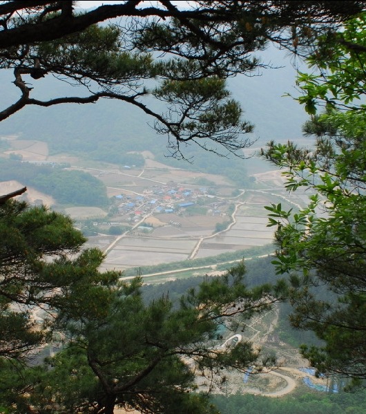 후비어 이미지