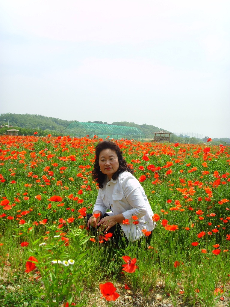 달샘 이미지