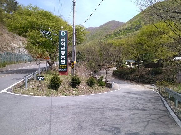 금화관광농원 이미지