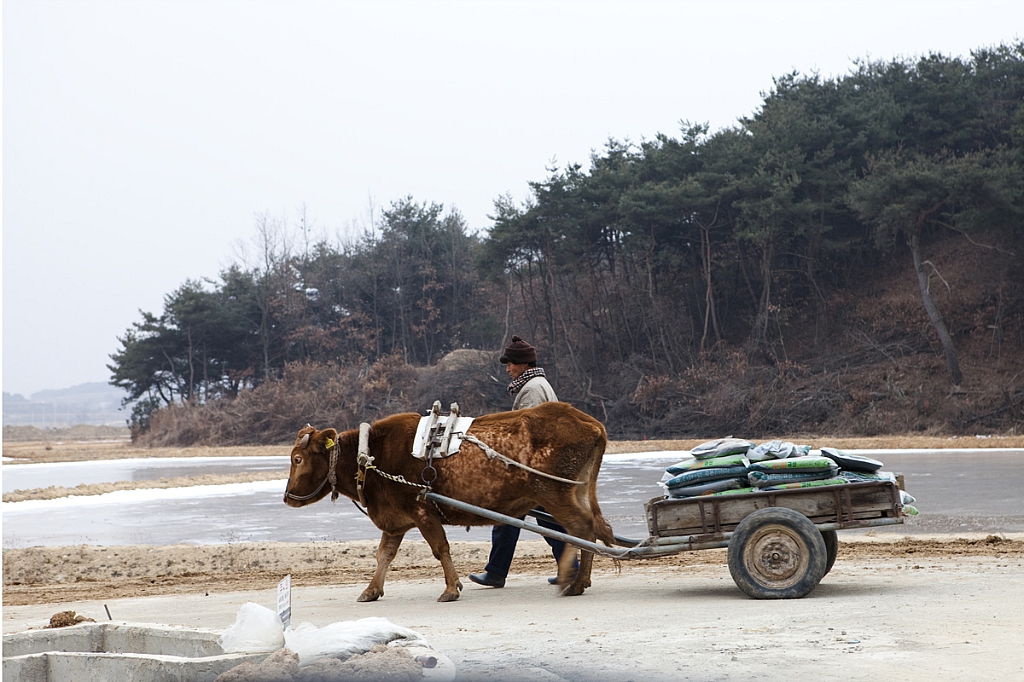 달구지 이미지