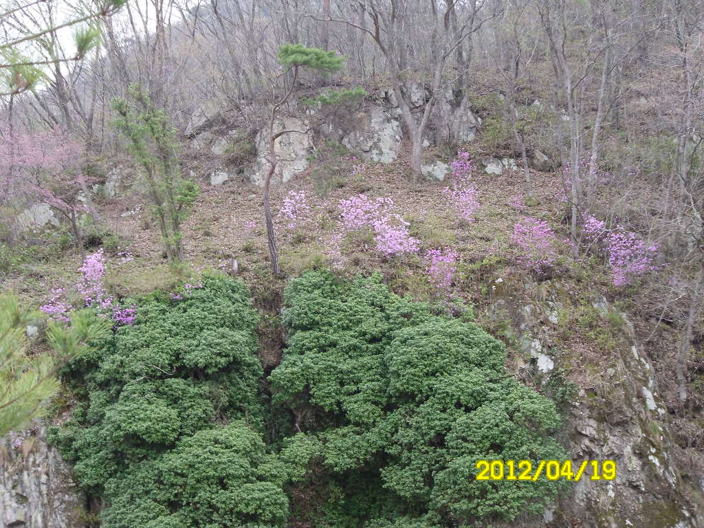 선물의집 이미지