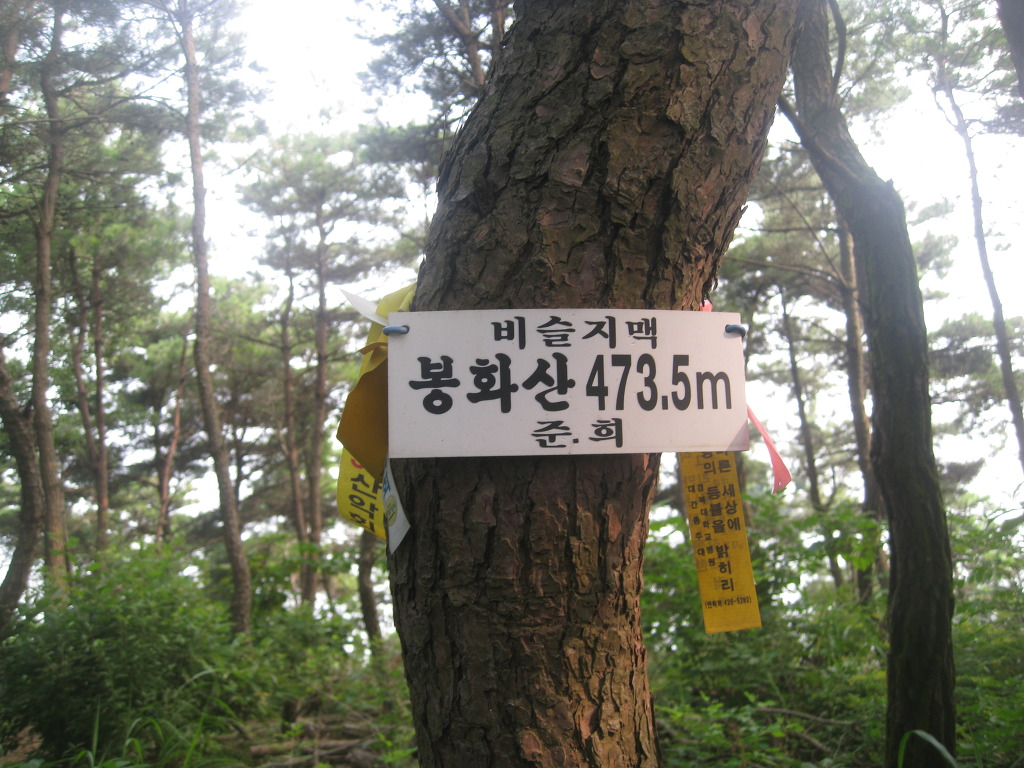 팔조령휴게소식당 이미지