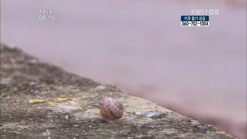 [인간극장] 우리 엄마는 할머니 1부 (감자 주의보 발령!!!) | 인스티즈