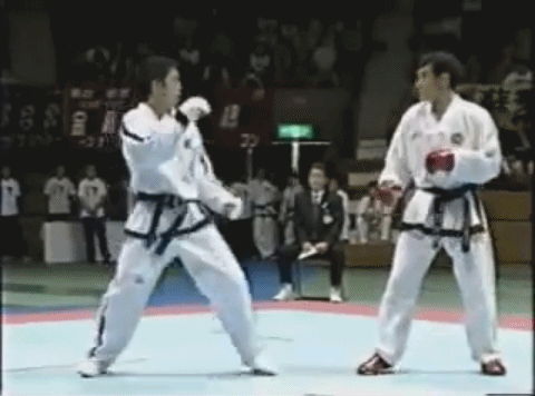 철권 화랑의 실제 모델 ITF 황수일 | 인스티즈
