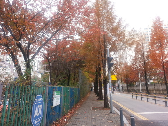 수지초등학교 이미지