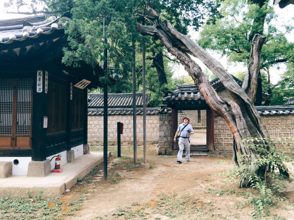 외국인이 촬영한 한국 풍경 | 인스티즈