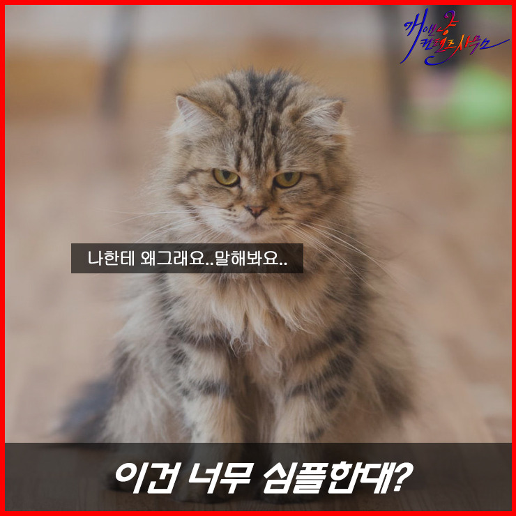 디자이너들이 가장 듣기 싫은 말말말!? | 인스티즈