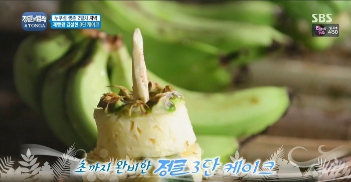 정글에서 생일을 맞은 찬성을 위해 설현이 만든 파인애플 3단케이크.jpg | 인스티즈