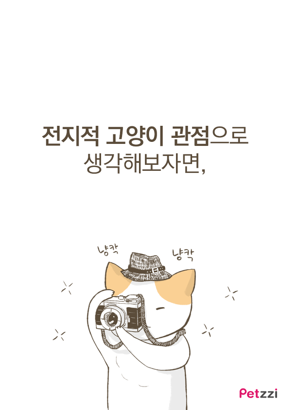 고양이들 컴퓨터 방해하는 이유(만화).jpg | 인스티즈