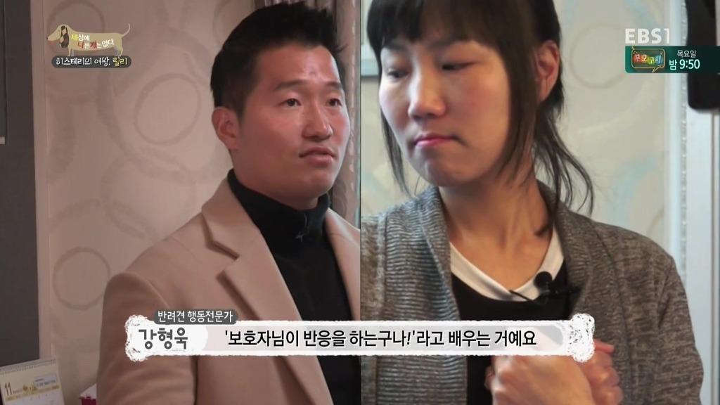 [세상에나쁜개는없다] 가족들에게 짖고 무는 강아지 릴리햏 | 인스티즈