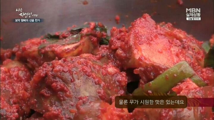 나는 자연인이다 마늘성애자 (마늘주의) | 인스티즈