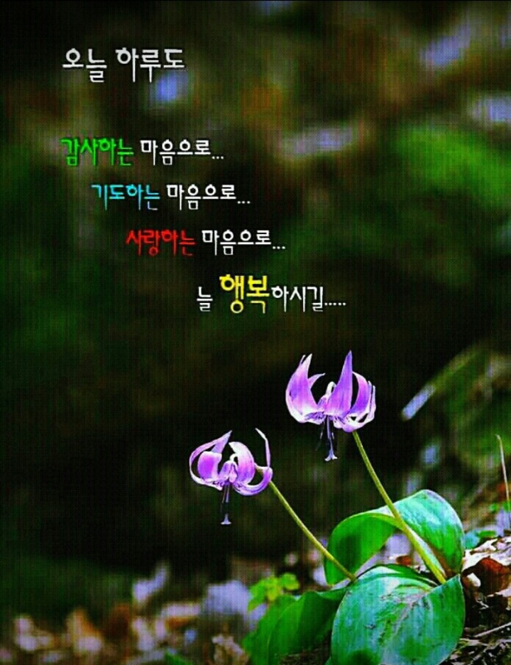 화요일 이미지