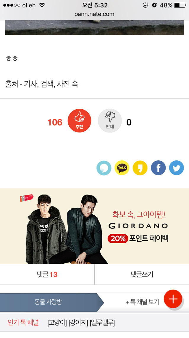 엄빠가 된 게 뿌듯한 고양이들 | 인스티즈
