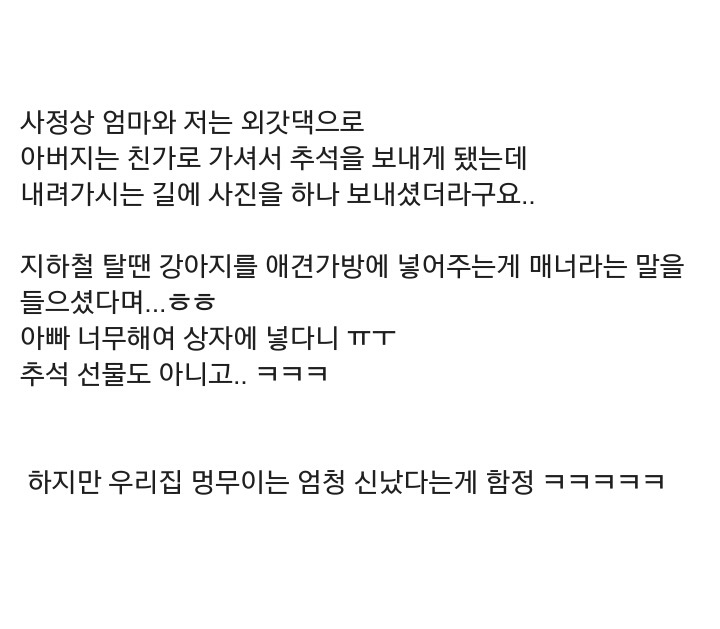 추석쇠러 가던 강아지 | 인스티즈