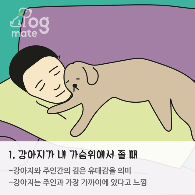 도꾸 이미지