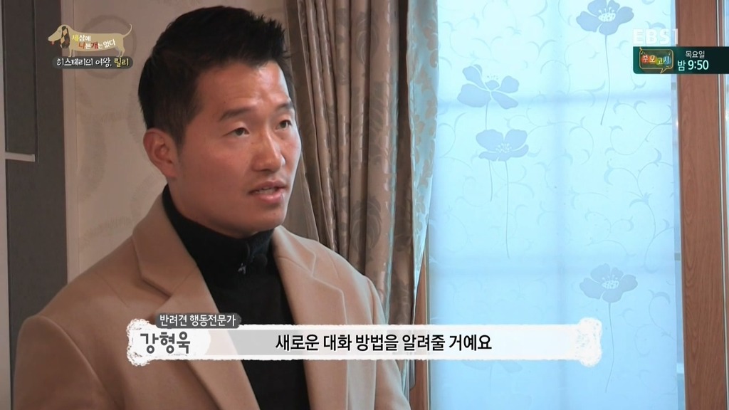 [세상에나쁜개는없다] 가족들에게 짖고 무는 강아지 릴리햏 | 인스티즈