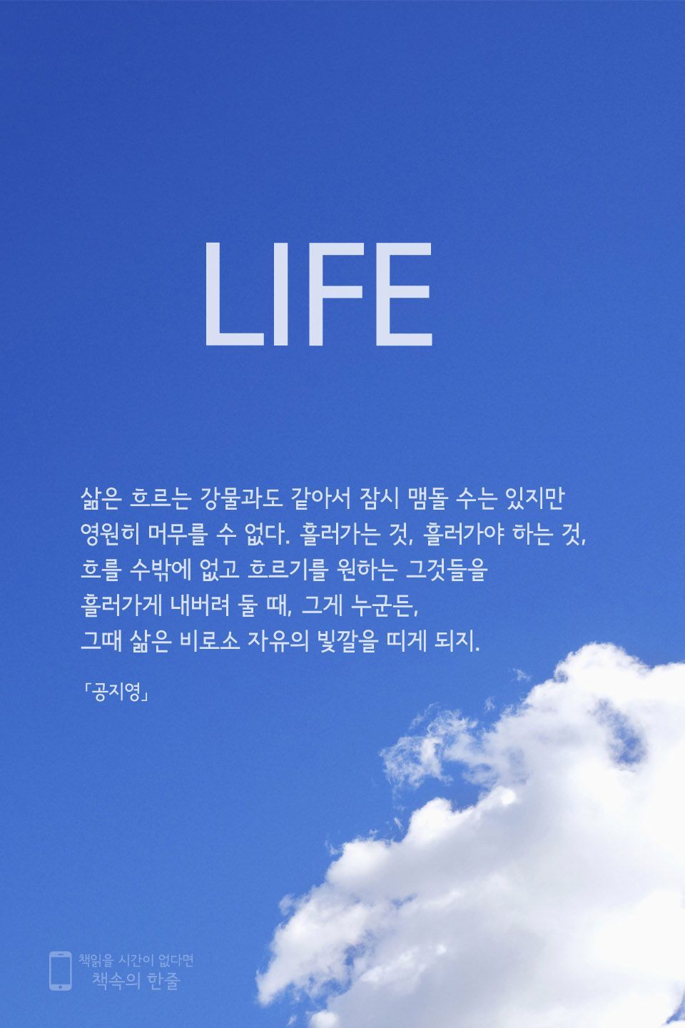 무무랑 이미지