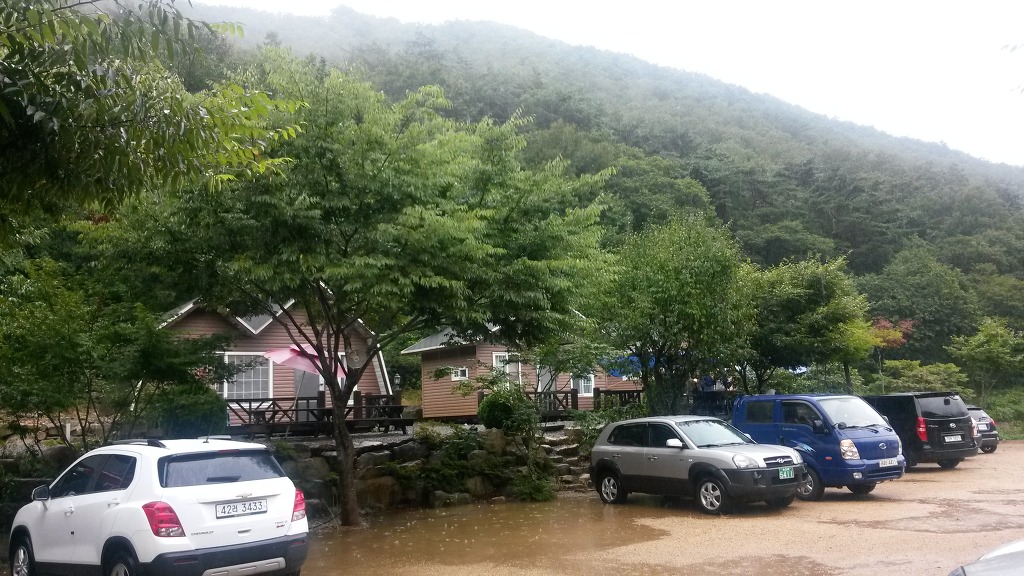 사단법인 양산학춤보존회 이미지