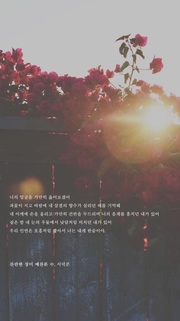 주민1이 좋아하는 서덕준 시 배경화면 모음 | 인스티즈