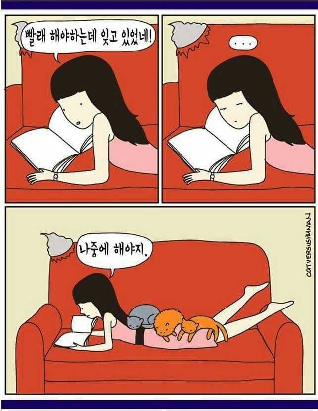 고양이 키우는 집사들은 공감한다는 일러스트들 | 인스티즈