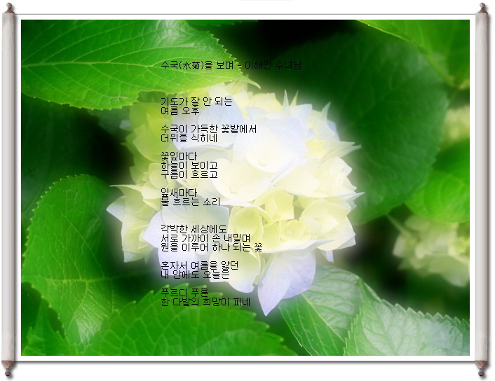 한돈희 이미지