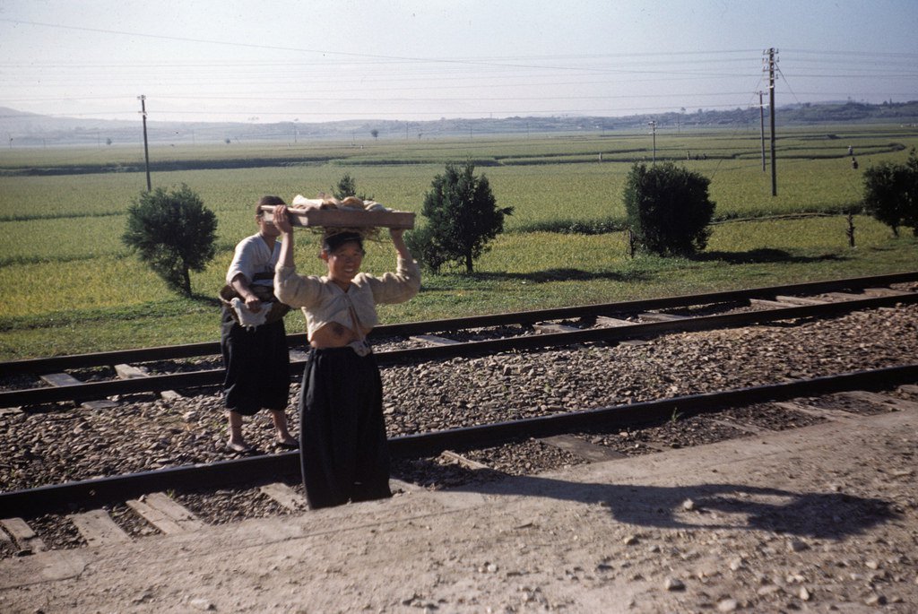 1952 한국 | 인스티즈