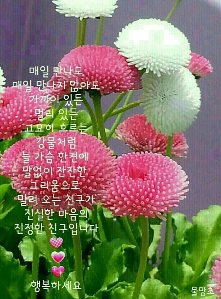 담아서 이미지