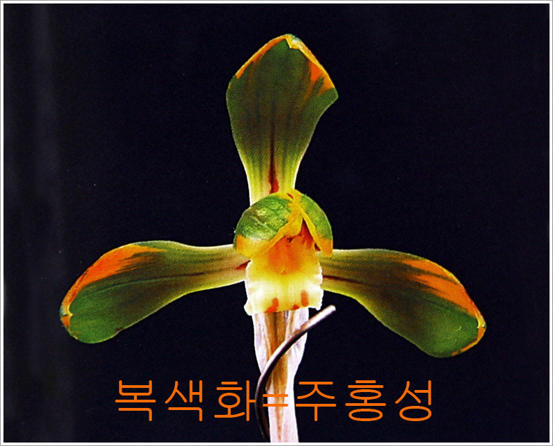 천향원 이미지