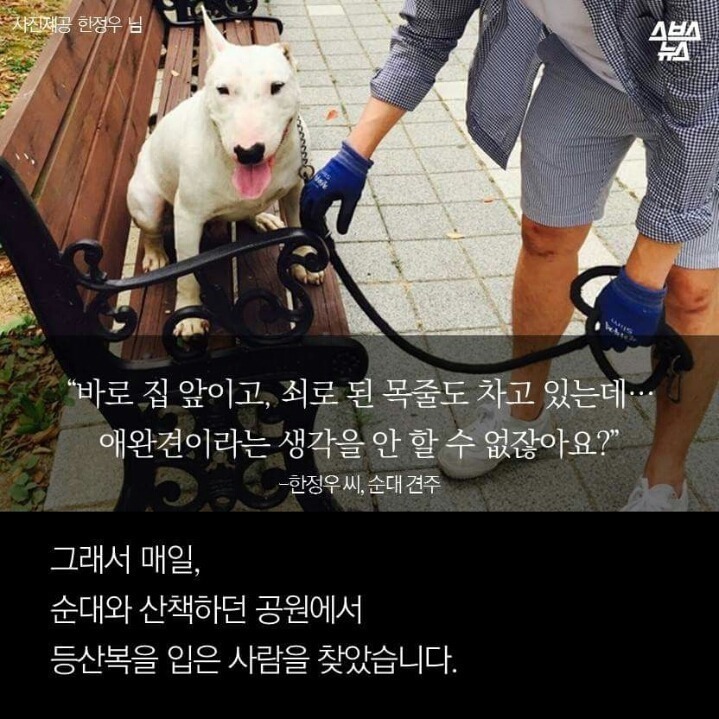개먹는건 자윤데 남의 개 훔쳐가지 말라고 나쁜 (와이) | 인스티즈
