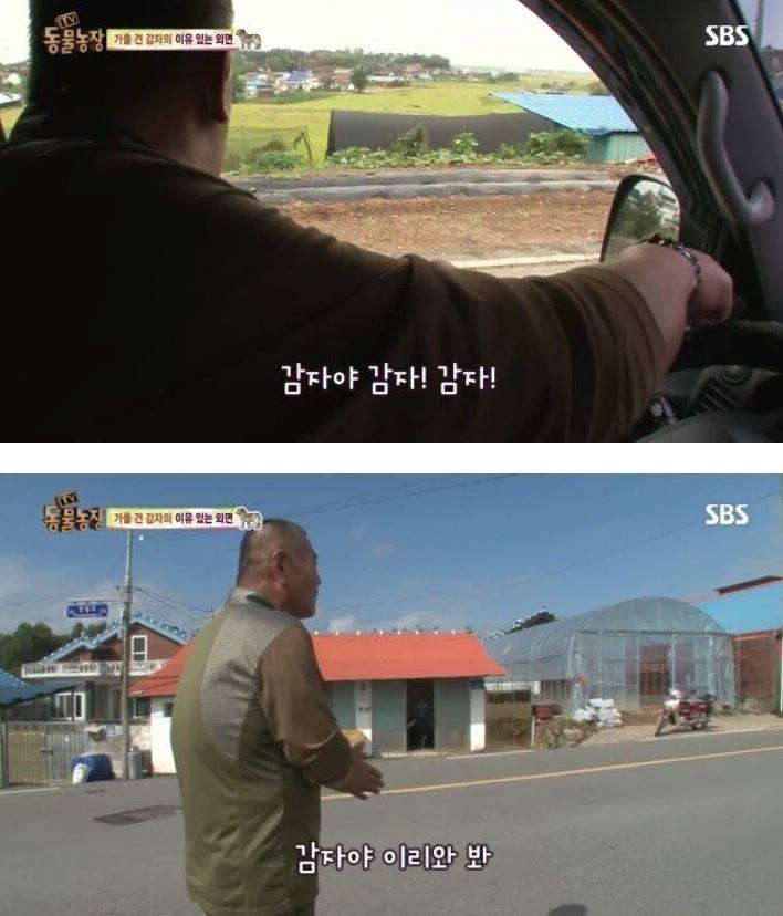 잃어버린 개를 3년만에 찾은 아저씨 | 인스티즈