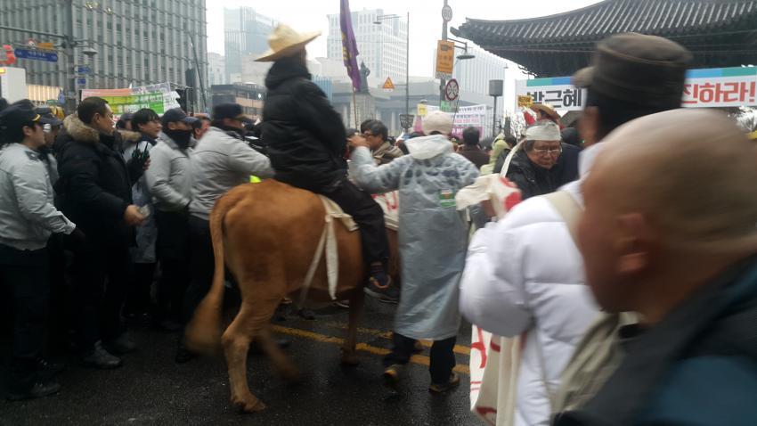 광화문에 나타난 기병대 | 인스티즈