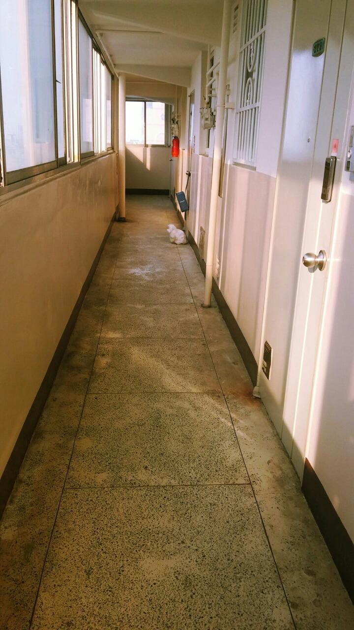 자기가 버려졌다는것도 모른체 자기자리를 지키는.. | 인스티즈