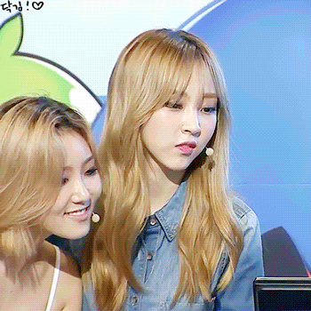 멤버들 옷단속하는 마마무 문별.jpgif | 인스티즈