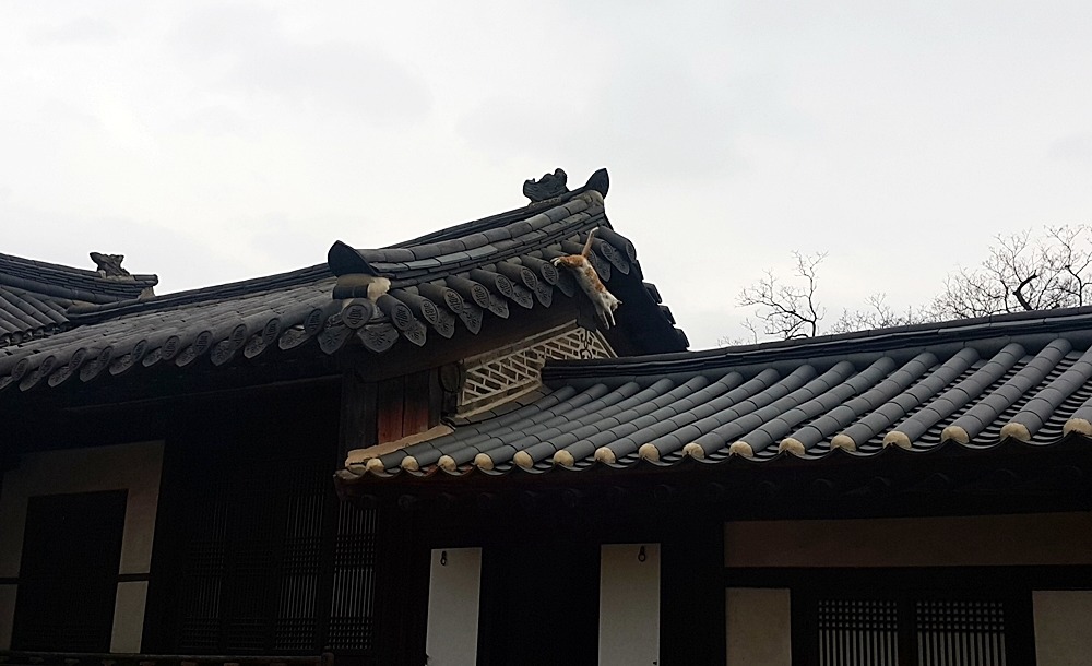 비원 이미지