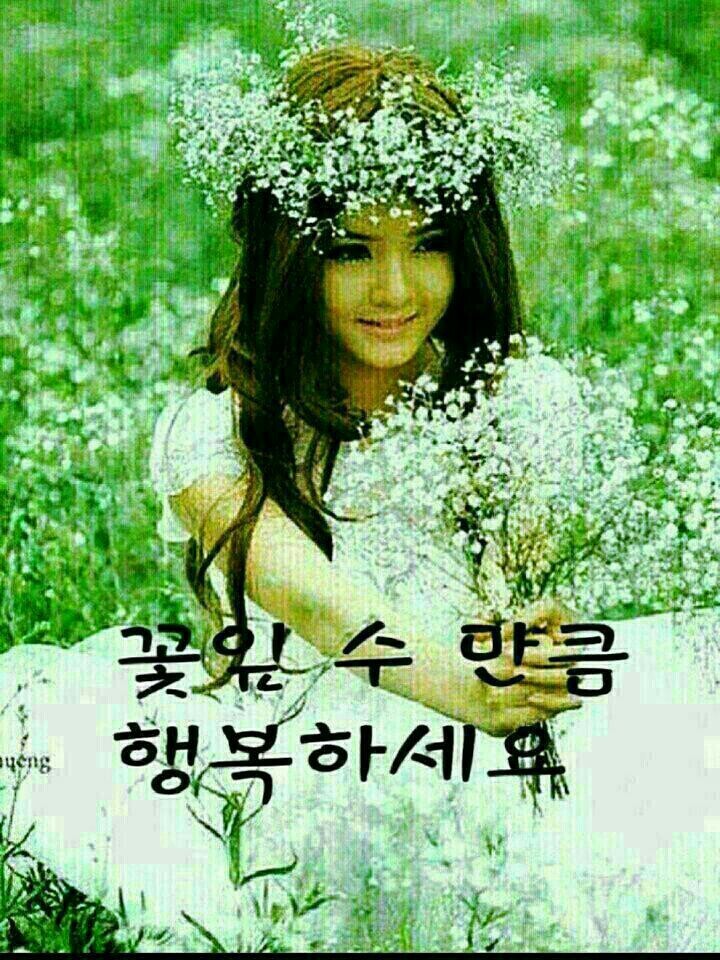 바람이의보물창고 이미지