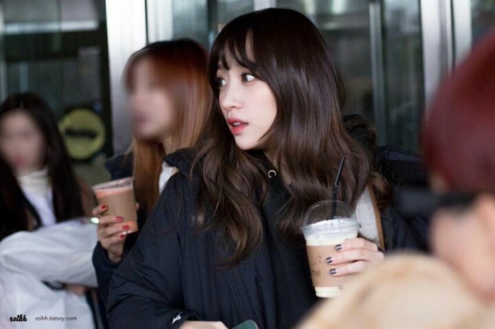 다소니 이미지