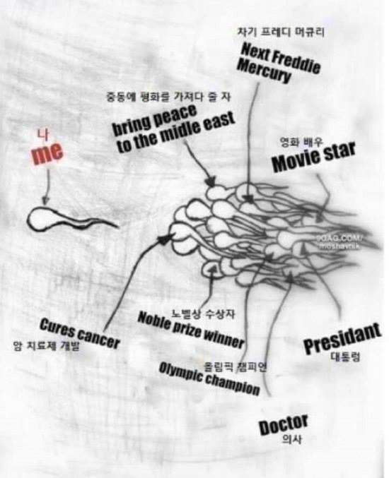 인류가 저지른 최악의 실수 | 인스티즈