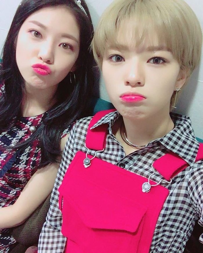 오늘자 트와이스 정연 | 인스티즈