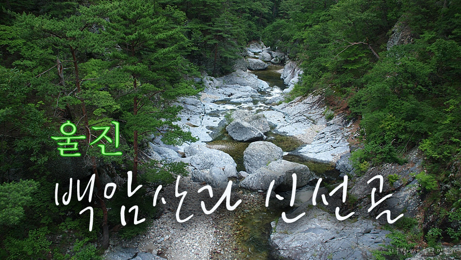 내서IC주유소 이미지