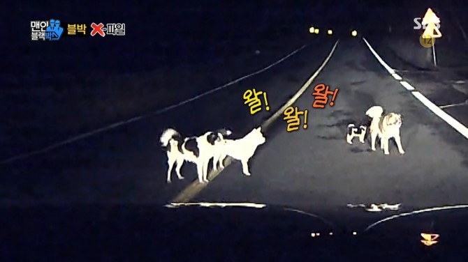 개를 구한 남자..jpg | 인스티즈