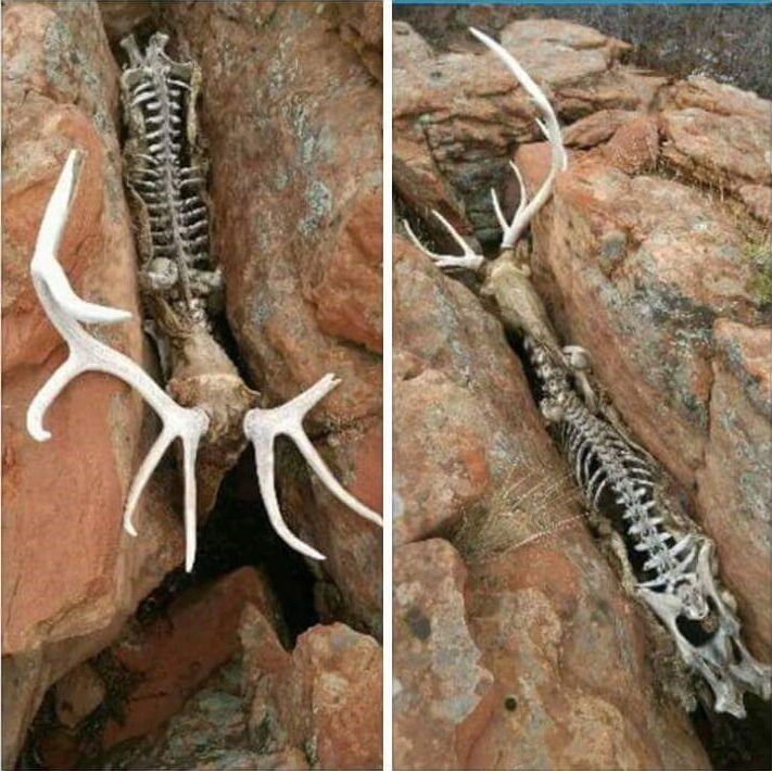 보기만 해도 절망이 느껴지는 짤......jpg | 인스티즈
