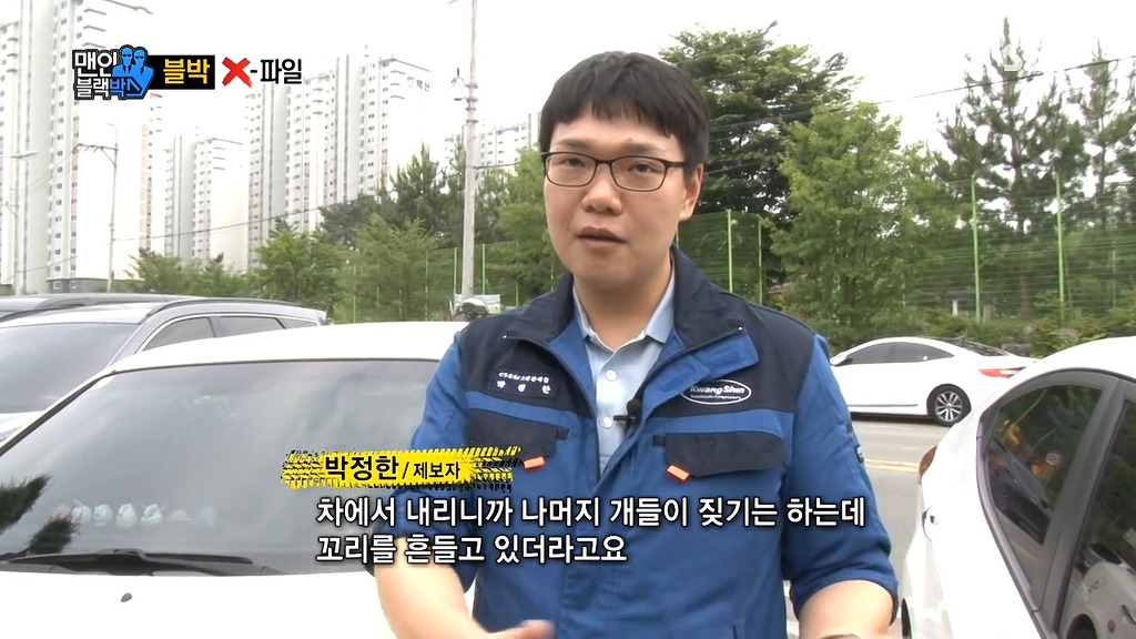 사람에게 도움을 청하는 강아지들 | 인스티즈