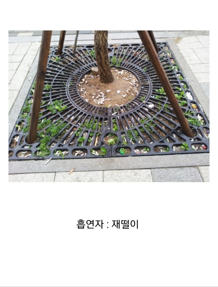 한국에서 흡연자들이 욕을 먹는 이유.jpg | 인스티즈
