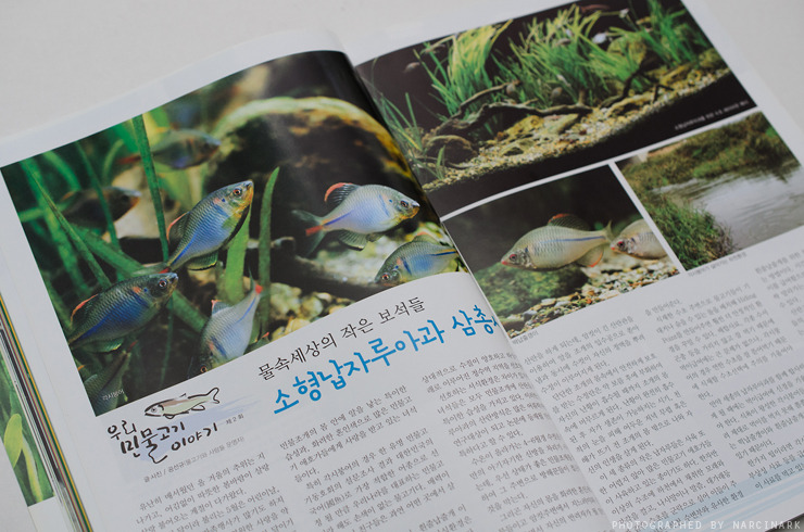 고기이야기 이미지