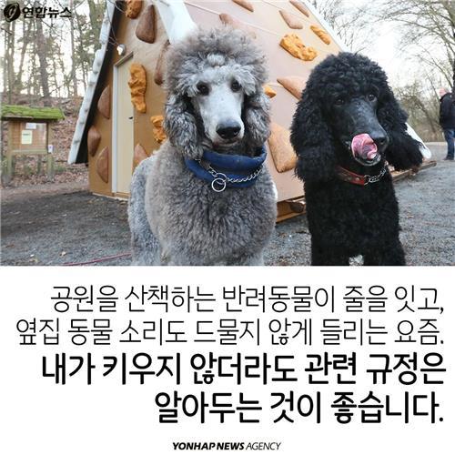 카드뉴스 늘어나는 반려동물…법 미리 알아두자 | 인스티즈