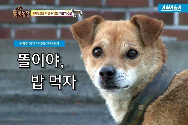 똘이 이미지