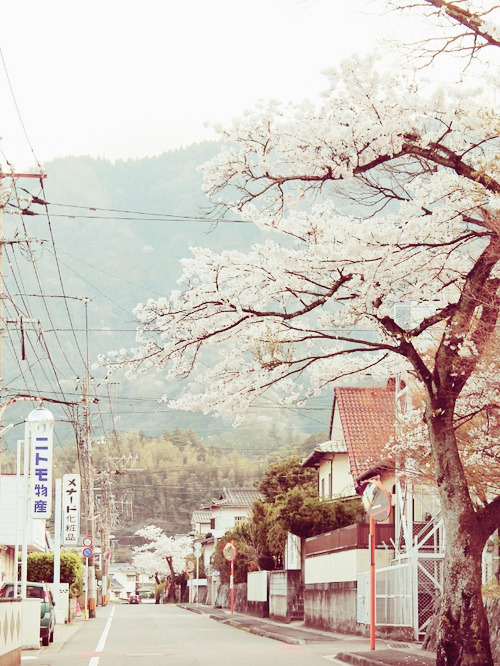 우리들이 사랑한 그 계절의 분위기 | 인스티즈