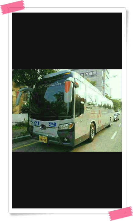 속초맛자랑 이미지