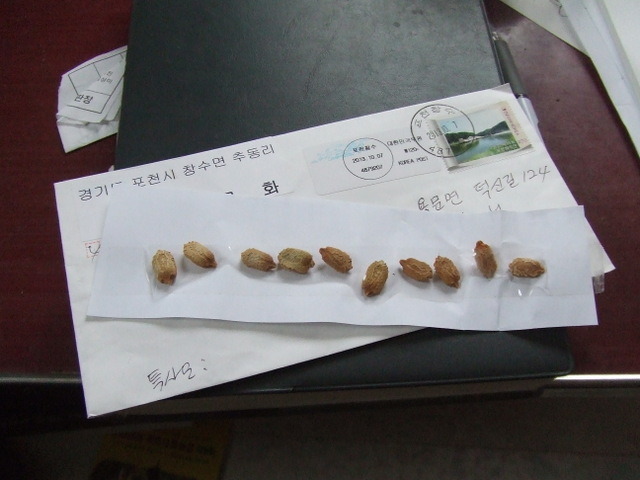 창수원 이미지